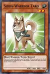 Edison Rulings for Shiba-Warrior Taro